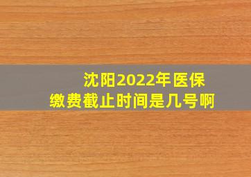 沈阳2022年医保缴费截止时间是几号啊