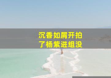 沉香如屑开拍了杨紫进组没