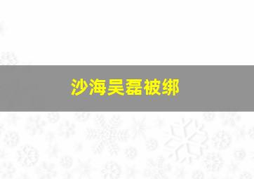 沙海吴磊被绑