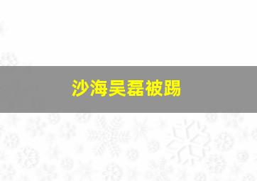 沙海吴磊被踢