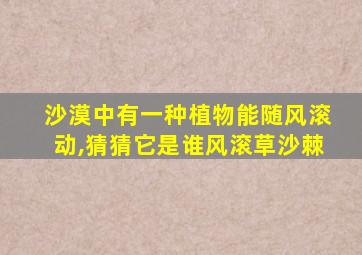 沙漠中有一种植物能随风滚动,猜猜它是谁风滚草沙棘