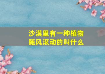 沙漠里有一种植物随风滚动的叫什么