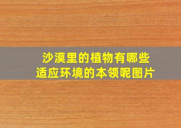 沙漠里的植物有哪些适应环境的本领呢图片