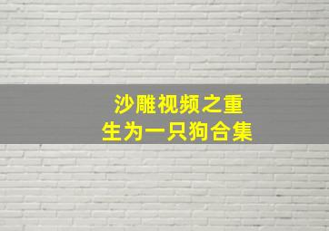 沙雕视频之重生为一只狗合集