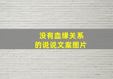 没有血缘关系的说说文案图片