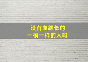 没有血缘长的一模一样的人吗