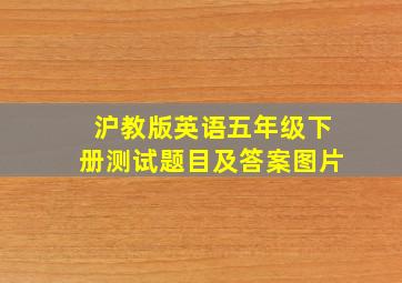 沪教版英语五年级下册测试题目及答案图片