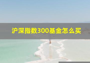 沪深指数300基金怎么买