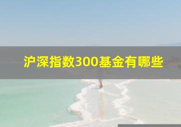 沪深指数300基金有哪些