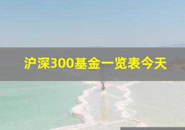 沪深300基金一览表今天