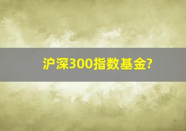 沪深300指数基金?