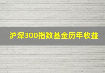 沪深300指数基金历年收益