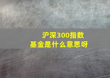 沪深300指数基金是什么意思呀