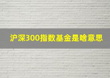 沪深300指数基金是啥意思