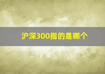 沪深300指的是哪个