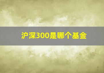 沪深300是哪个基金