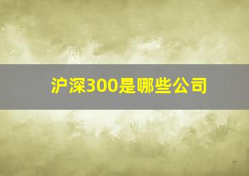 沪深300是哪些公司