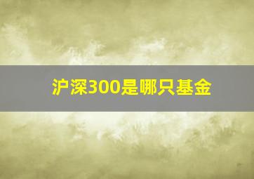 沪深300是哪只基金