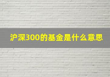 沪深300的基金是什么意思