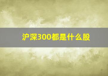 沪深300都是什么股