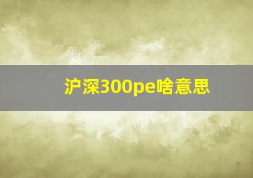 沪深300pe啥意思