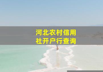 河北农村信用社开户行查询