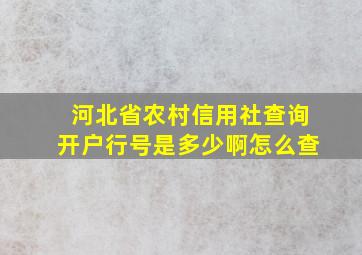 河北省农村信用社查询开户行号是多少啊怎么查