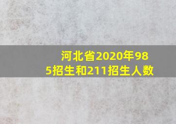 河北省2020年985招生和211招生人数