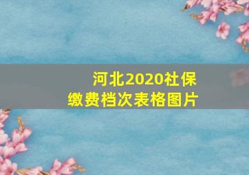 河北2020社保缴费档次表格图片