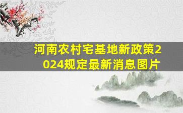 河南农村宅基地新政策2024规定最新消息图片