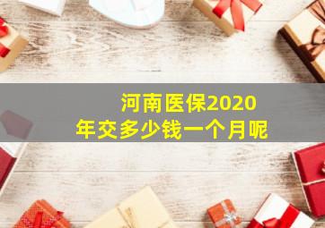 河南医保2020年交多少钱一个月呢