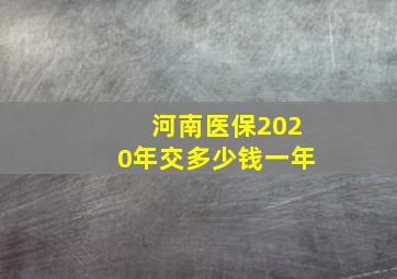 河南医保2020年交多少钱一年