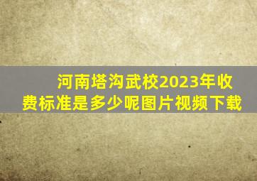 河南塔沟武校2023年收费标准是多少呢图片视频下载