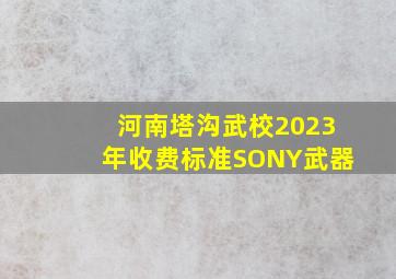 河南塔沟武校2023年收费标准SONY武器