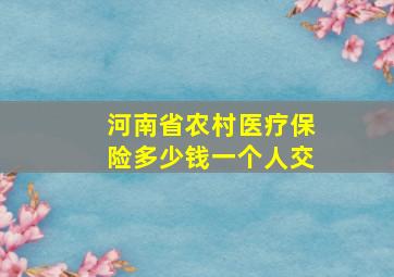 河南省农村医疗保险多少钱一个人交