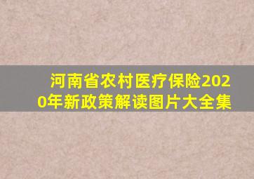 河南省农村医疗保险2020年新政策解读图片大全集