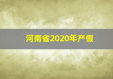 河南省2020年产假