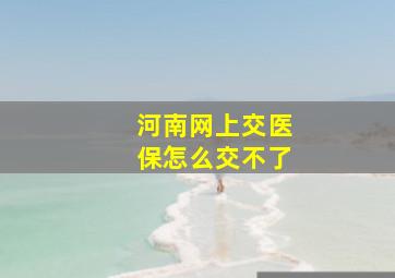 河南网上交医保怎么交不了