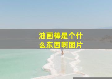 油画棒是个什么东西啊图片