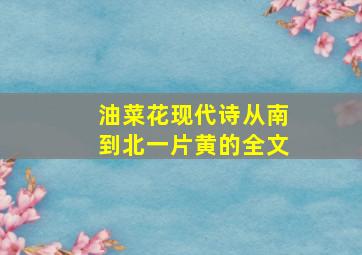 油菜花现代诗从南到北一片黄的全文