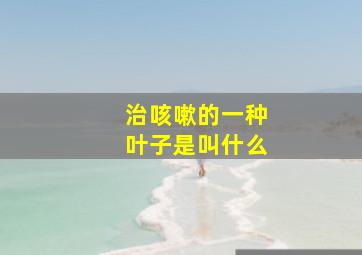 治咳嗽的一种叶子是叫什么