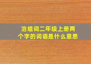 治组词二年级上册两个字的词语是什么意思