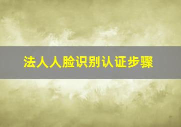 法人人脸识别认证步骤