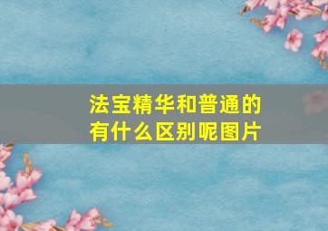 法宝精华和普通的有什么区别呢图片