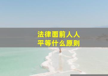 法律面前人人平等什么原则