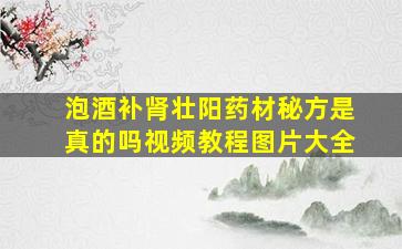 泡酒补肾壮阳药材秘方是真的吗视频教程图片大全