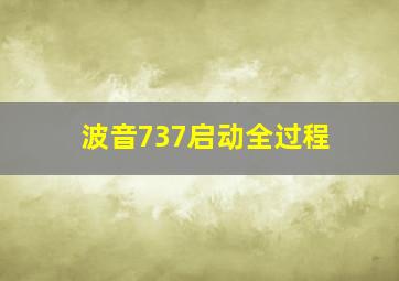 波音737启动全过程