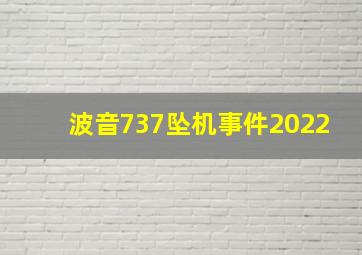 波音737坠机事件2022