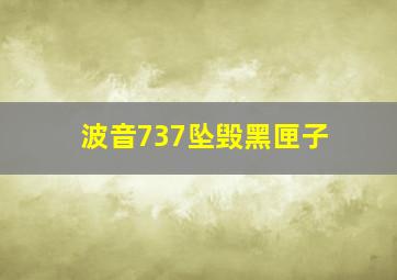 波音737坠毁黑匣子