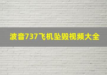 波音737飞机坠毁视频大全